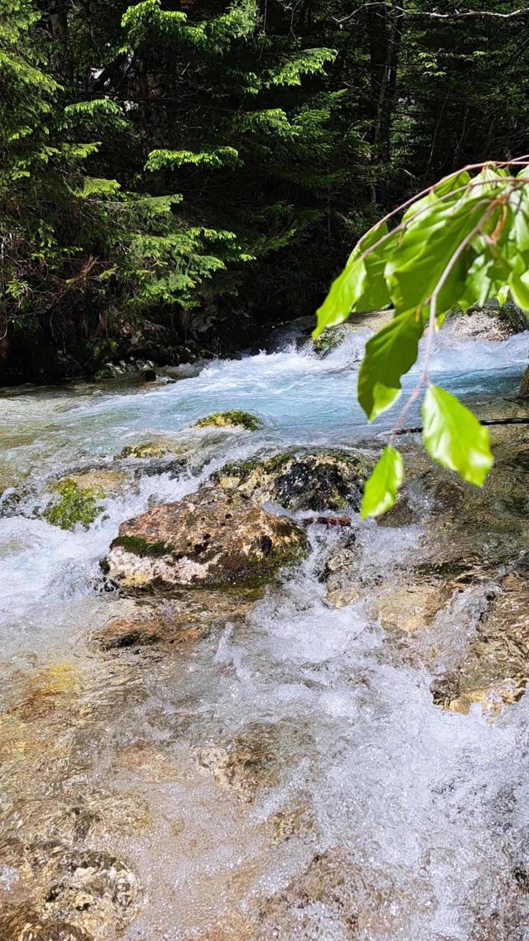 Holiday Home By The Emerald River Soča エクステリア 写真